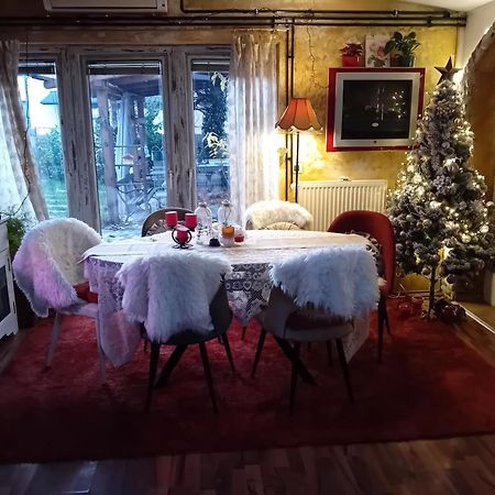 Rose Room 40M2 With Terrace 25M2 In Greeny Area For 4 Person Ljubljana Exterior photo