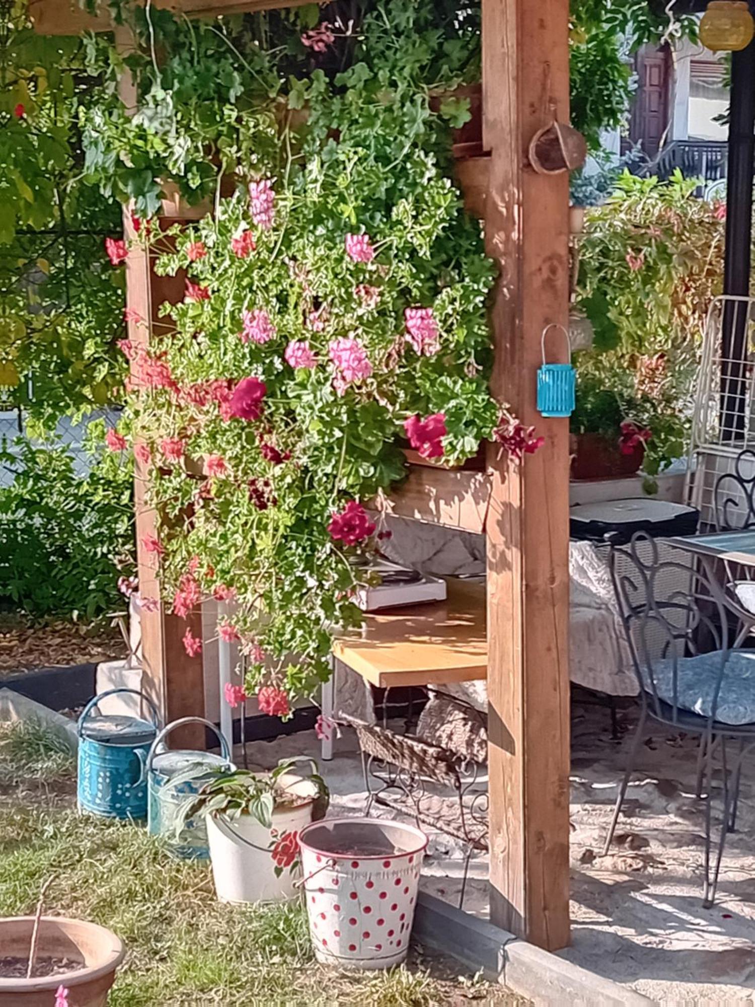 Rose Room 40M2 With Terrace 25M2 In Greeny Area For 4 Person Ljubljana Exterior photo