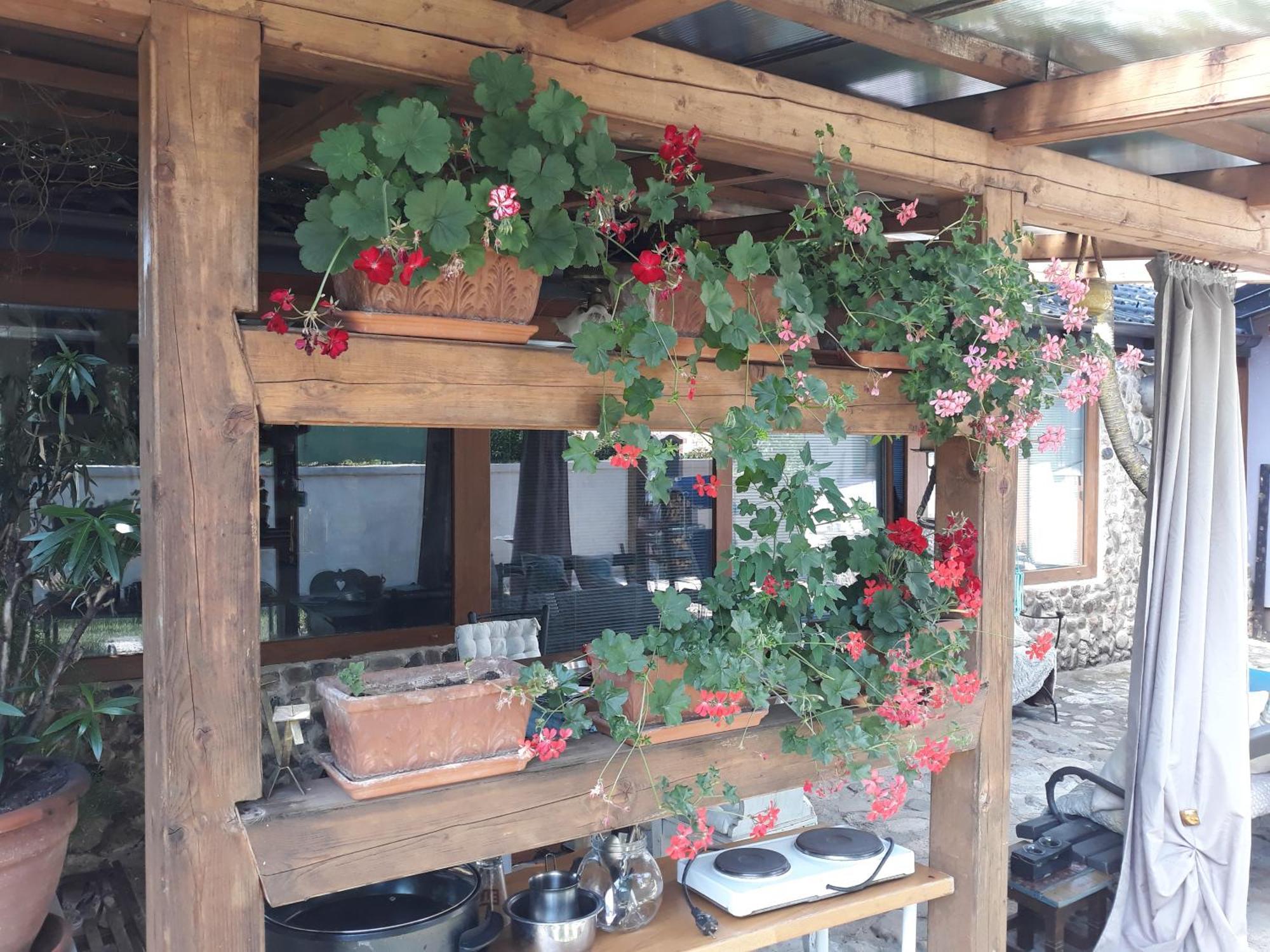 Rose Room 40M2 With Terrace 25M2 In Greeny Area For 4 Person Ljubljana Exterior photo