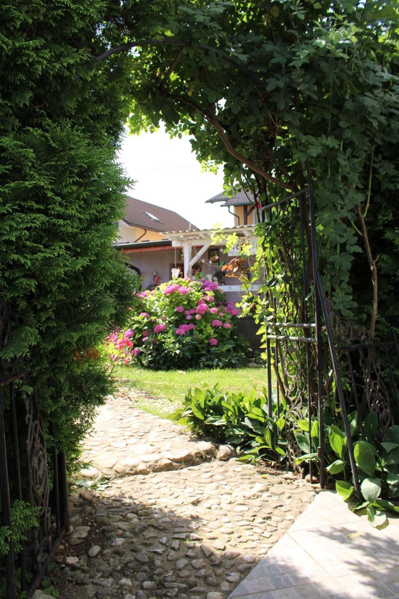 Rose Room 40M2 With Terrace 25M2 In Greeny Area For 4 Person Ljubljana Exterior photo