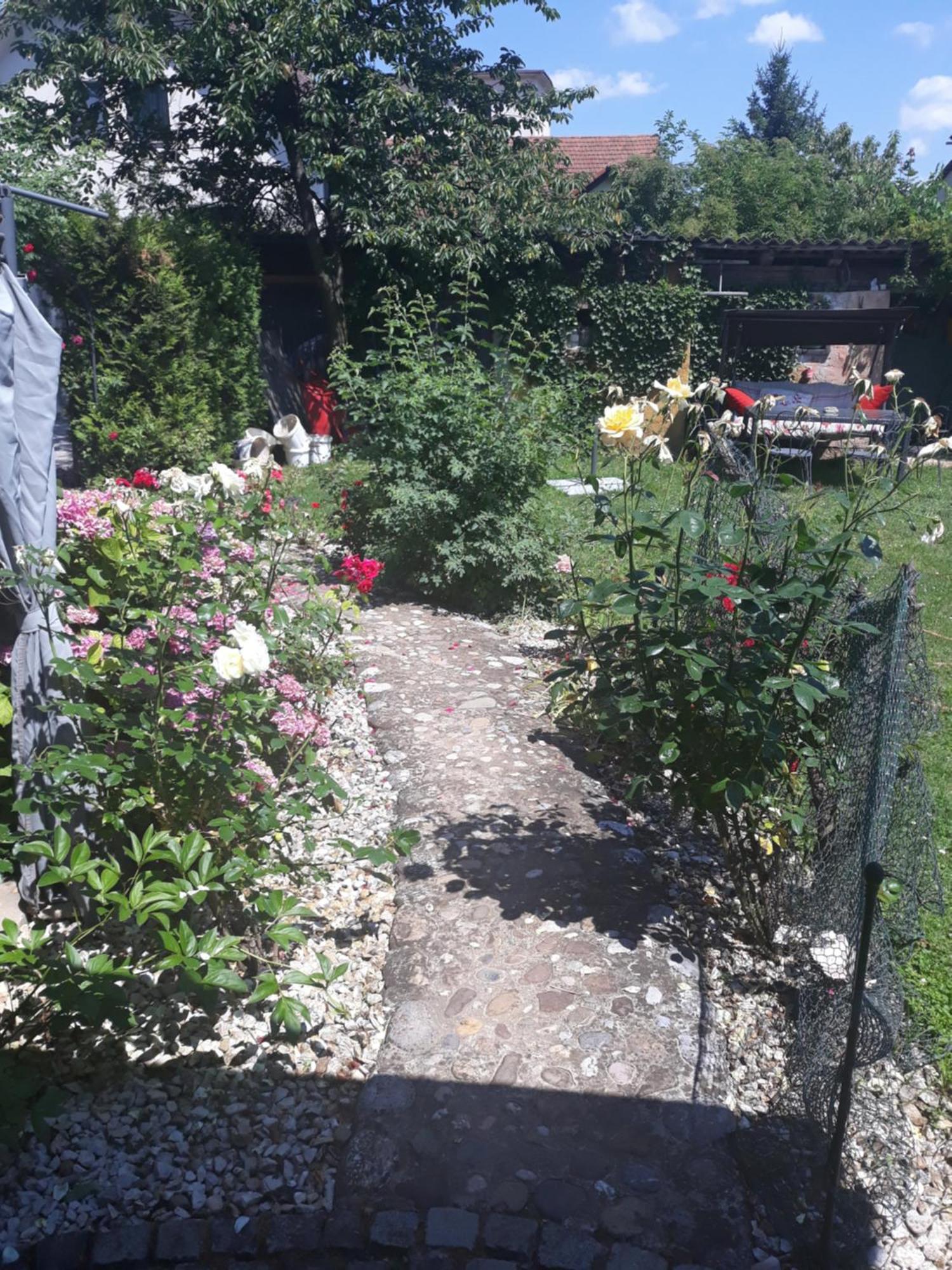 Rose Room 40M2 With Terrace 25M2 In Greeny Area For 4 Person Ljubljana Exterior photo
