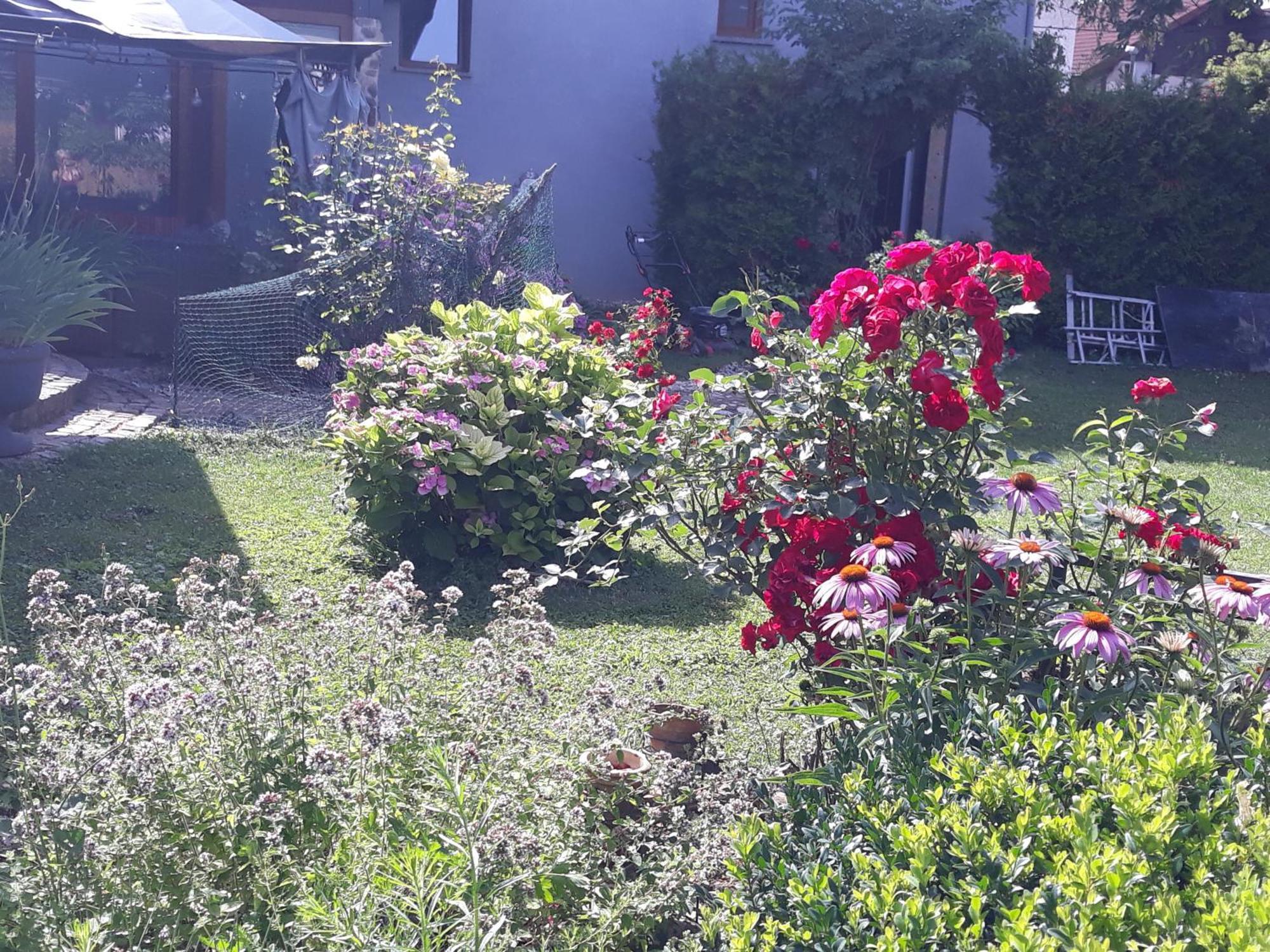 Rose Room 40M2 With Terrace 25M2 In Greeny Area For 4 Person Ljubljana Exterior photo
